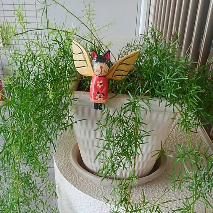 E4087a51 23eb 4581 bb9e 52dcb6e778e5