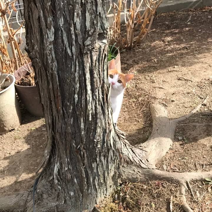 E4087f67 7898 4c2a be86 3e925b2d7d42