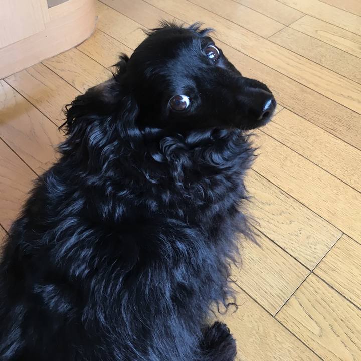 E408bb3e d52d 4c22 8b5d 327d6d5ff44e