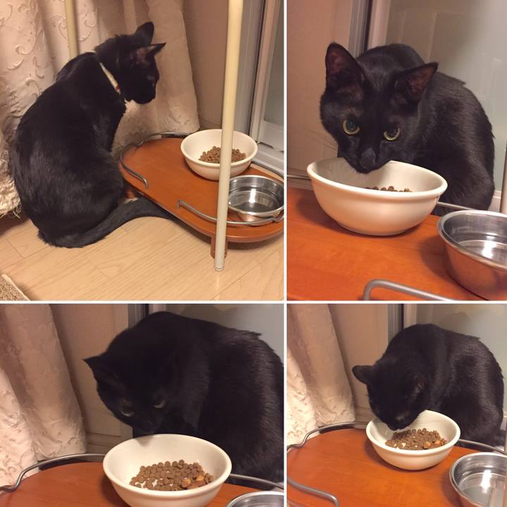 E4091955 4242 4dfe af02 ba6c8c1ff7e9