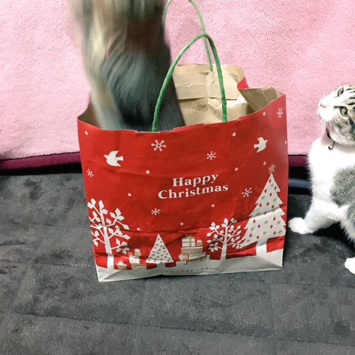 E4093a3d 86fe 4b66 a4a5 b14bba2a51ea