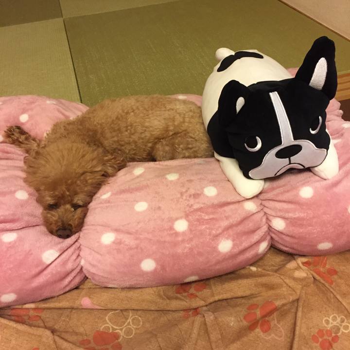 E4094f6c 6f8a 4190 8adc afddf003c484