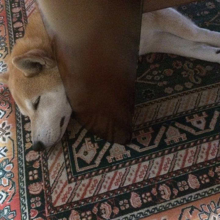 E40a9a31 c56d 422a 9f94 d73c49e83684