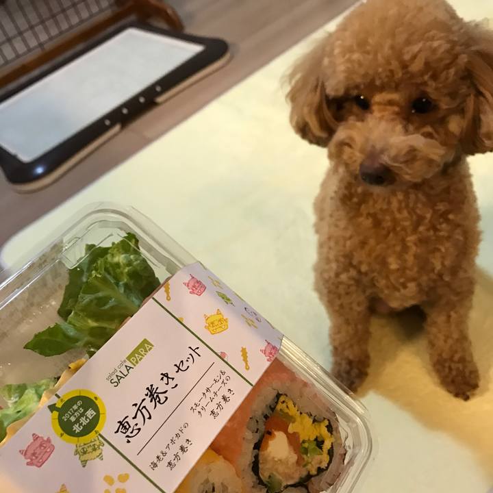 E40ac5b4 0b2a 40eb 9c58 8b7f41c9f952