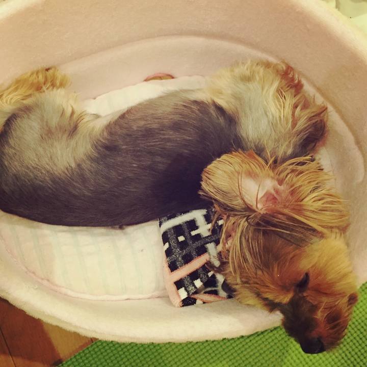 E40acd27 9e99 4e18 bbaf ce449ba44041