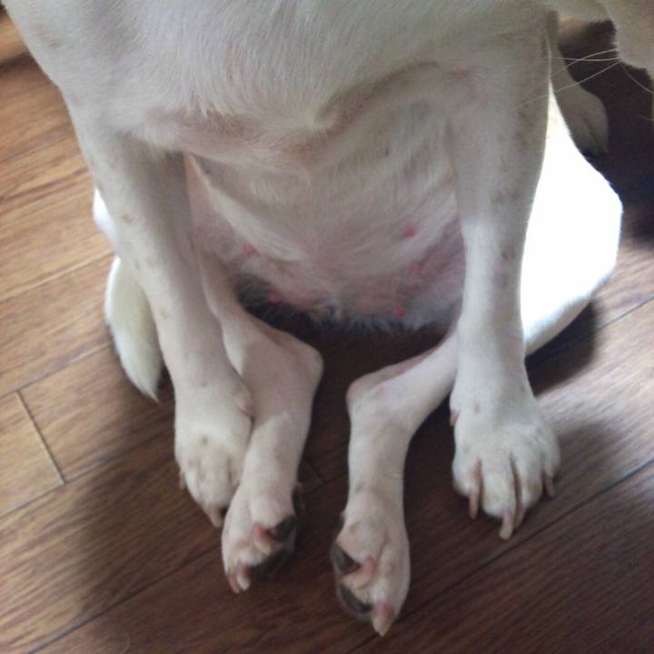 E40b0f4c a68c 4a3a 9ae1 5d35079d10d3