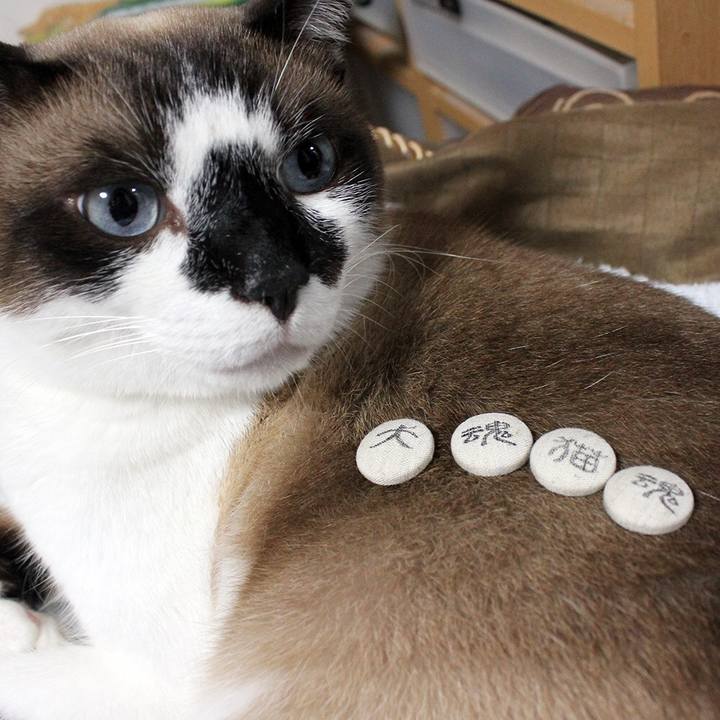 E40b3635 11c2 4812 850e daff8171b128