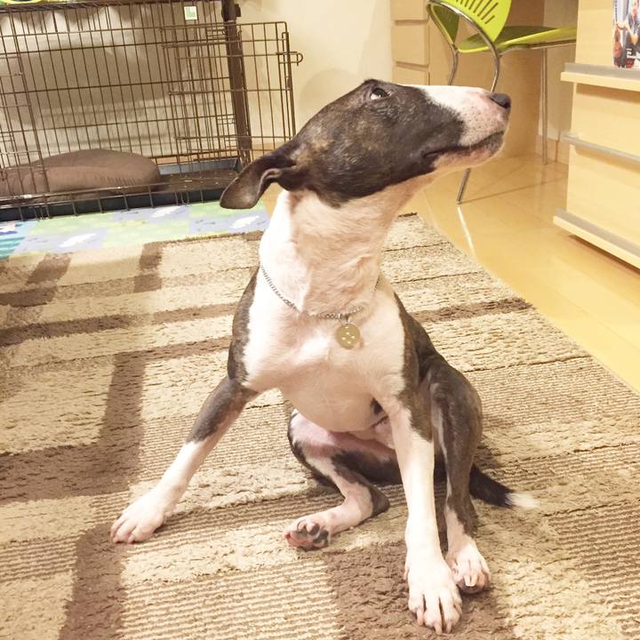 E40c33d8 b1bb 4012 a6f1 376b13eab691