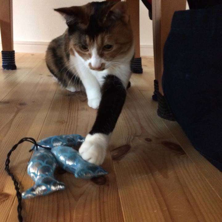 E40cdd71 534d 4650 8f44 74dbc69a8b1d