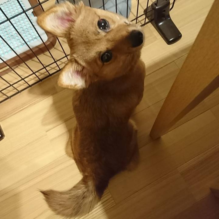 E40ceb7f 4b3d 427f bc74 53c3148612fc