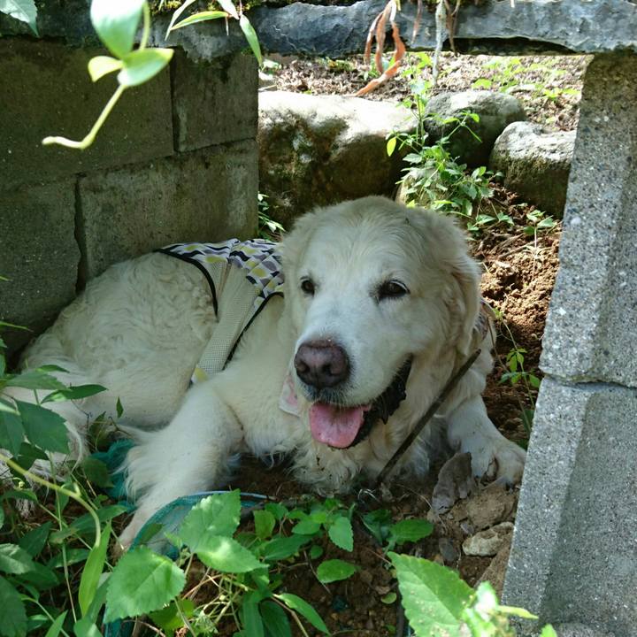 E40de0ba e518 41e2 a79c 15cfe3fd3e4e