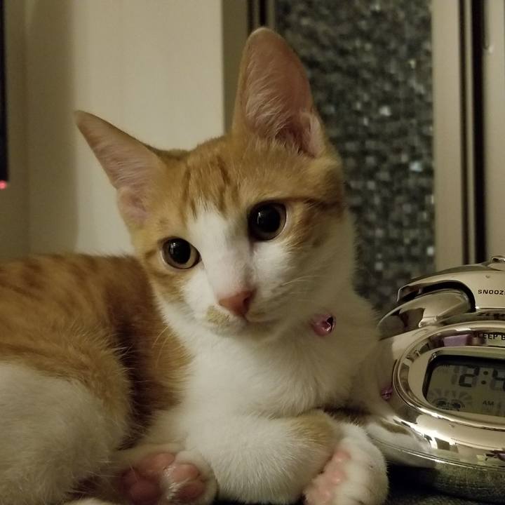 E40de488 b4c1 4662 8706 74cfcd8e6f01