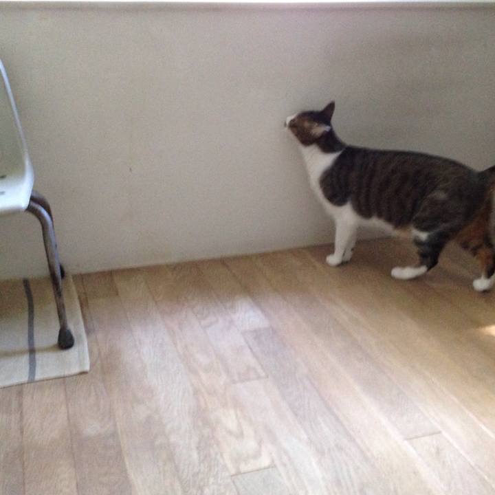 E40df18f 8bd2 4e0c 89ac 1bd6dcdd0dee