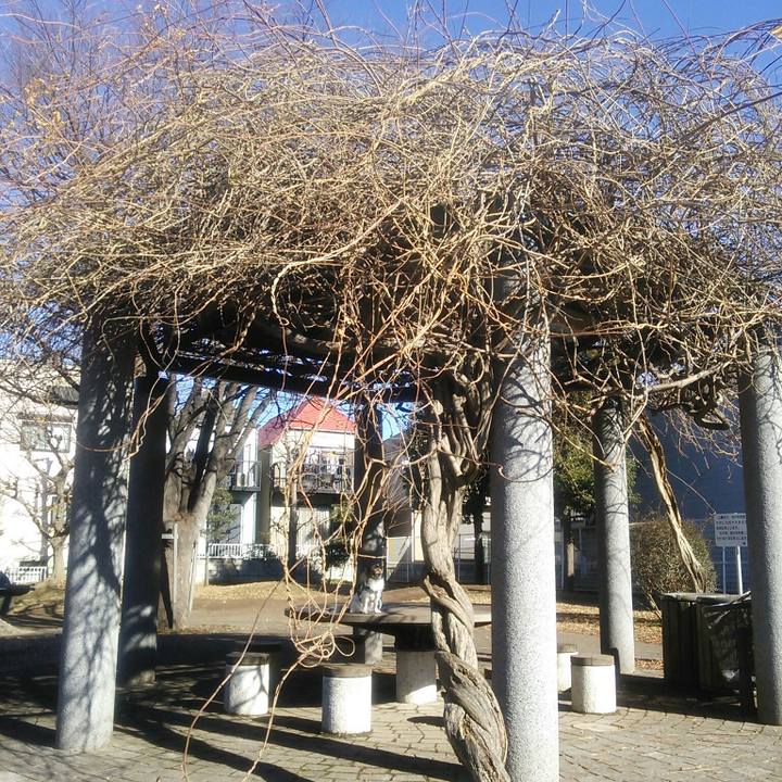 E40df2b9 fff0 492e ac56 1986d27d633a