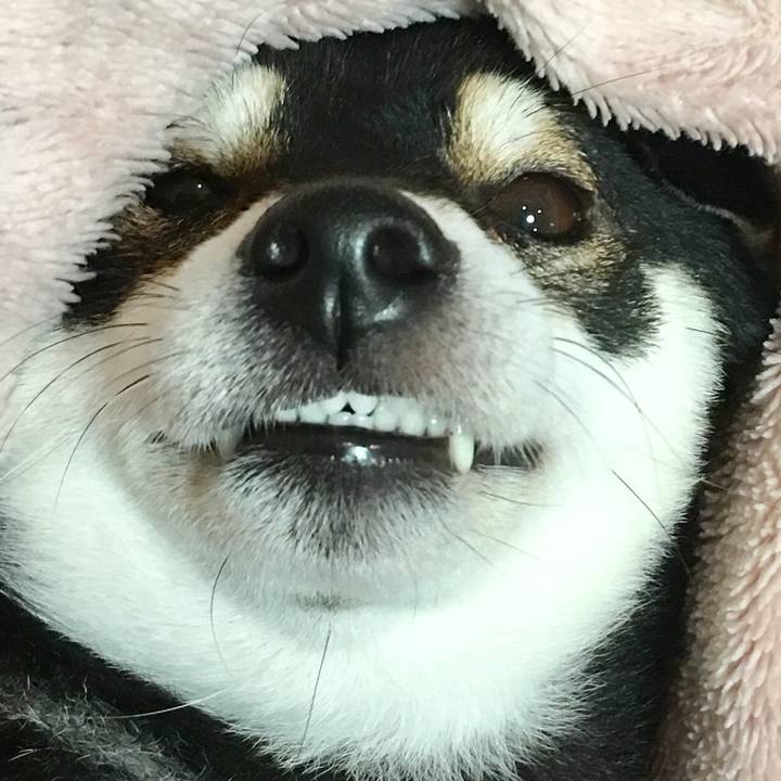 E40e5ba5 bc70 4127 96a9 6f8225172995