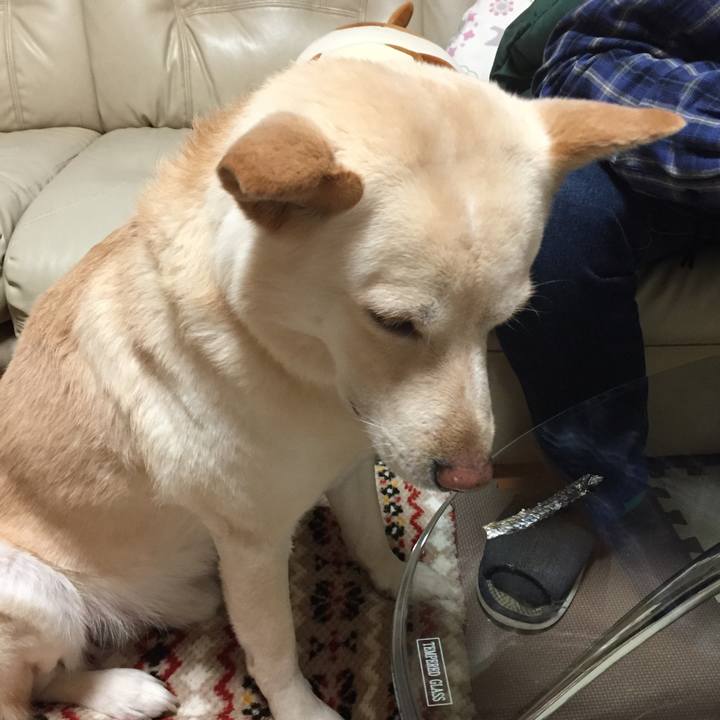 E40e6ff8 fda6 49e6 a6e4 1ee82e55bfe2