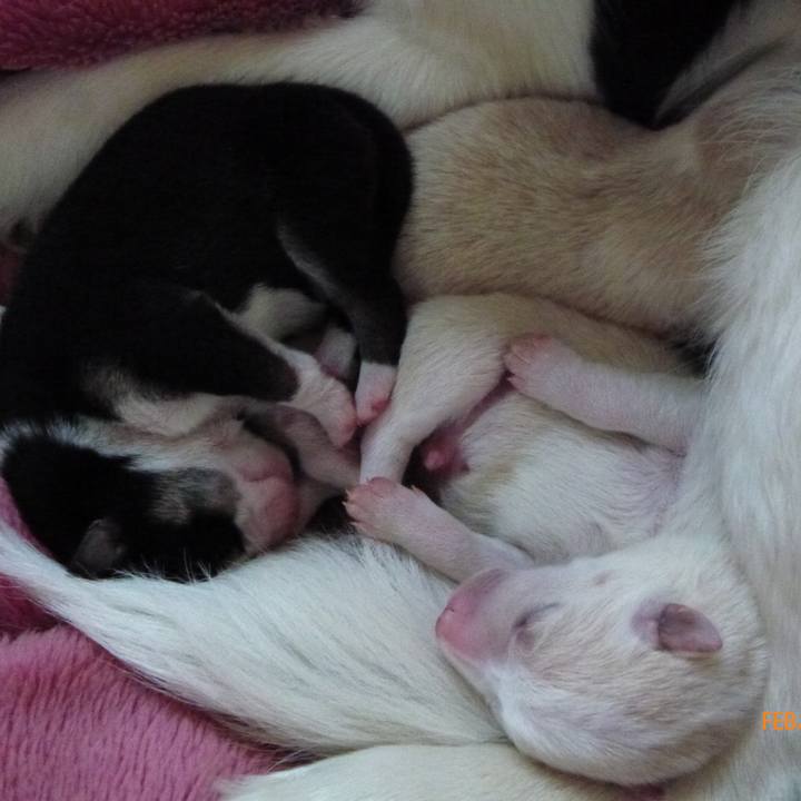 E40ef5c1 1b49 412b a23b 26bef2de418f