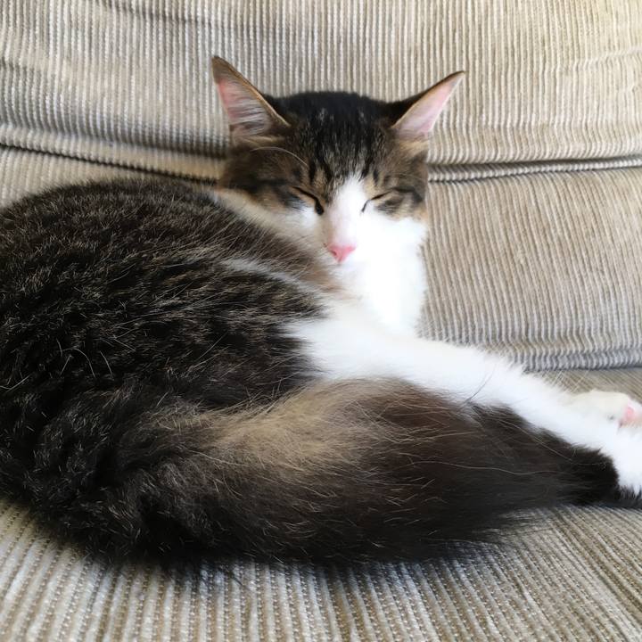 E40ffd7b 24e2 49b2 94fb 7984667e27dc