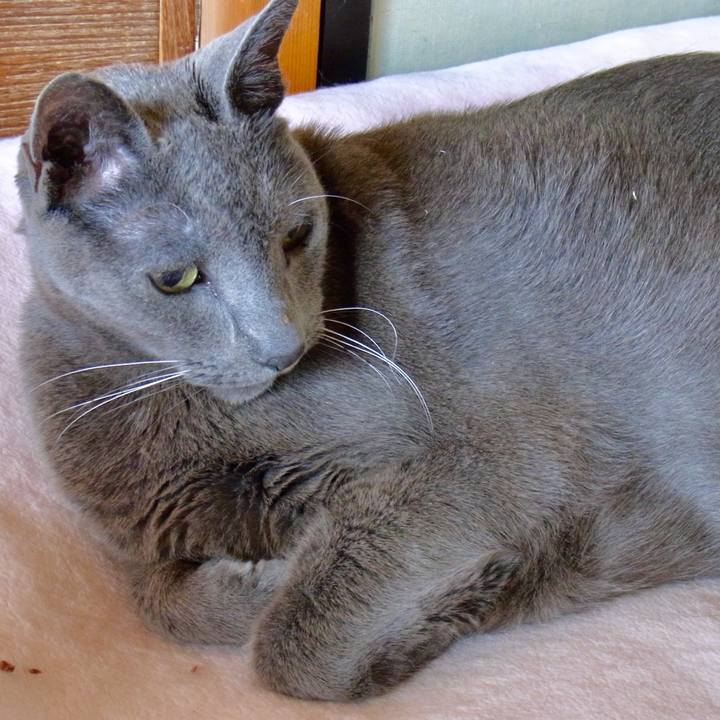 E410c79f 28b6 41ef 9b76 61bfa8de1ee5