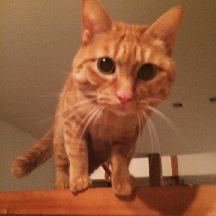 E4116e4e 3c1d 4530 b335 1fd78b5071be