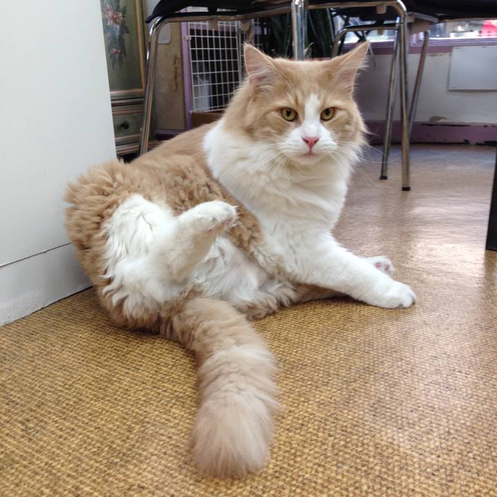 E411e034 9fb9 43bc b2ac c134eaabb164