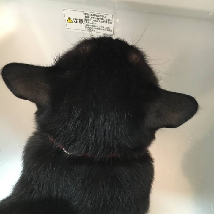 E41254fd 8aa7 47bb a901 1348053ccf3f