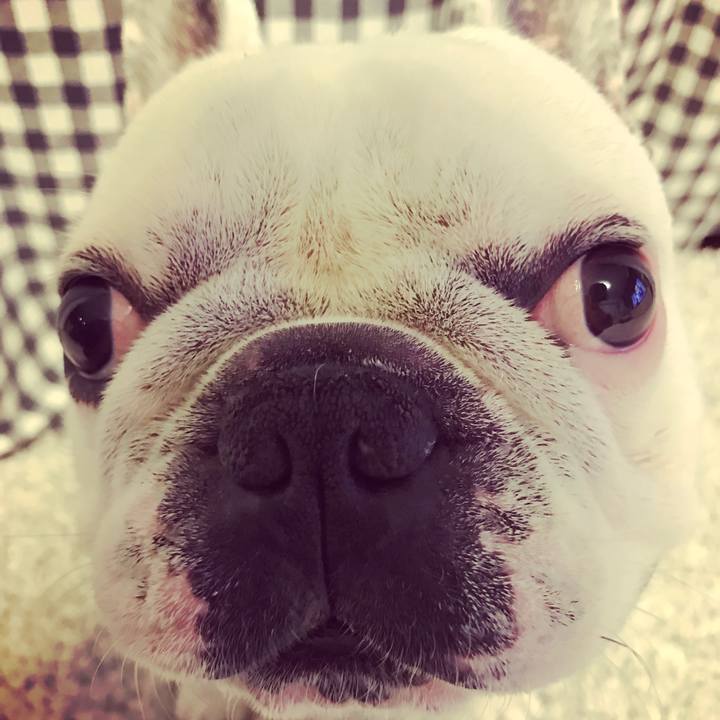 E412d478 ea32 45c1 a6ec c3c9fe5c8abb