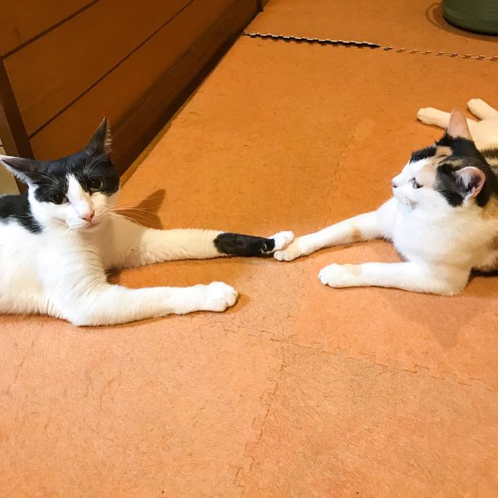 E413113d 05e7 4c37 b8ce 254fe4d5ef57