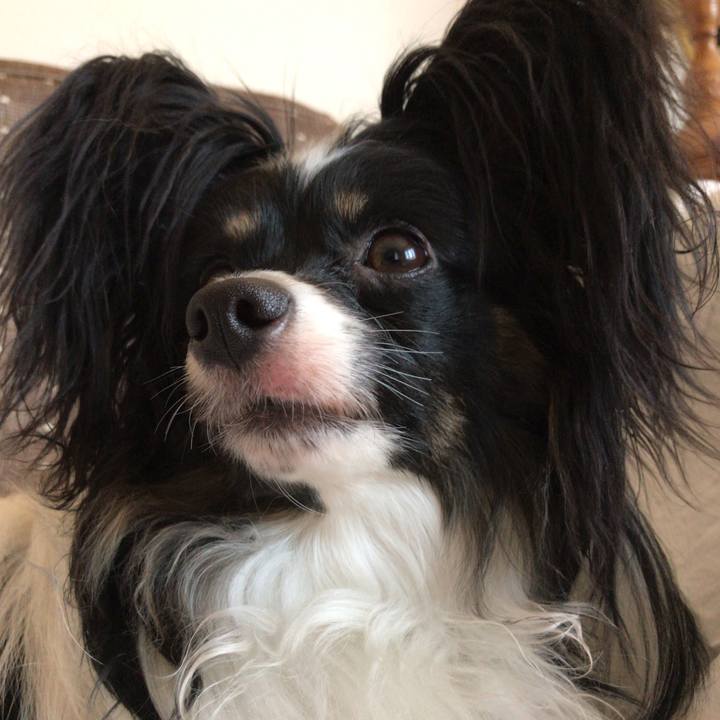 E4131400 b3e0 4b39 b1f5 3867d7af0cad