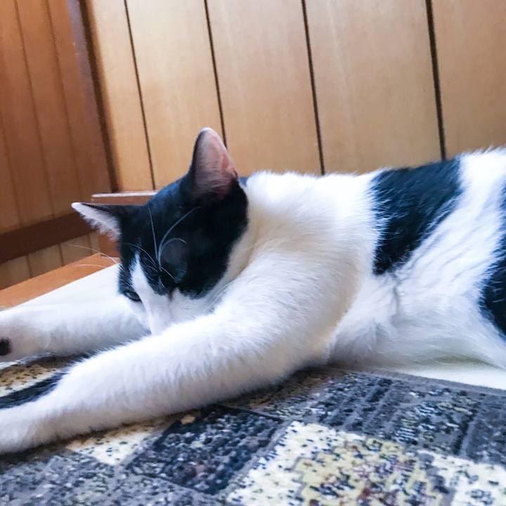 E413360f 93e5 4258 b1b8 0a1402d097b6