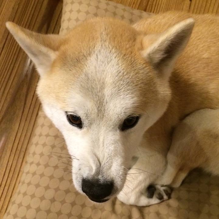 E4142789 192c 4ca4 a424 249c259ca585