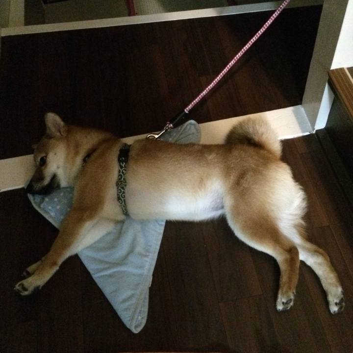 E414d3bd b029 4c39 bbd3 2baf0f8f08b4