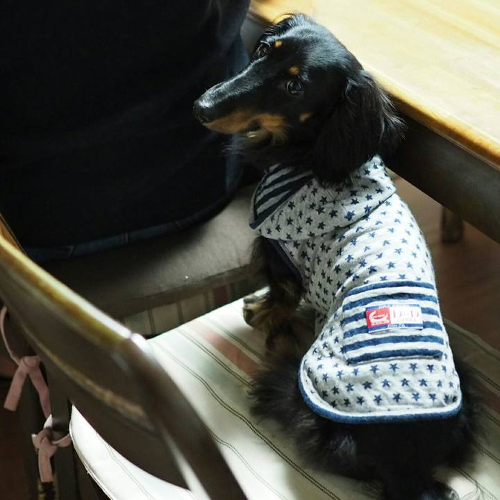 E4152299 a624 41b0 b61d 85dff2afa890