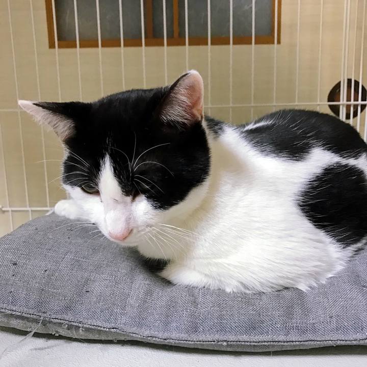 E4157151 ad42 476e 9c60 4219f0dff860