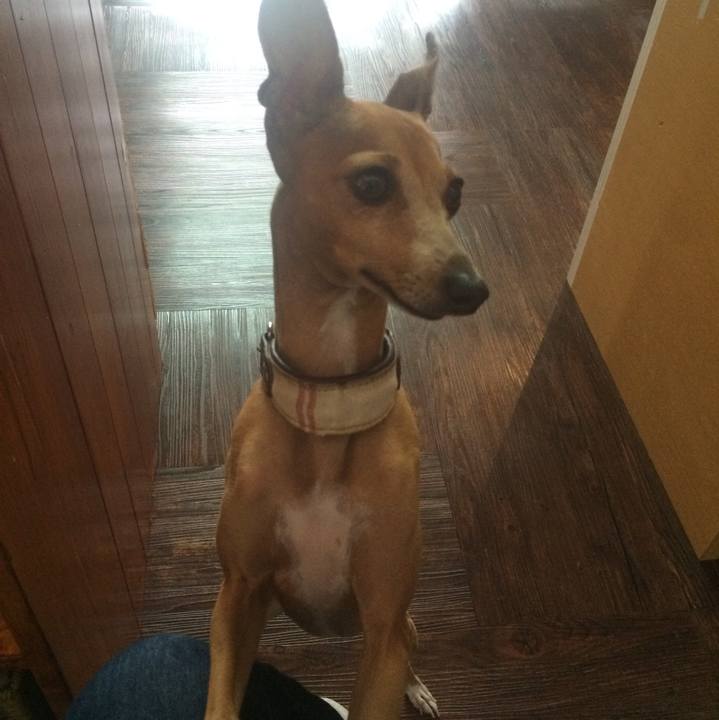 E415baeb ba4b 401c bc61 415142af78ba