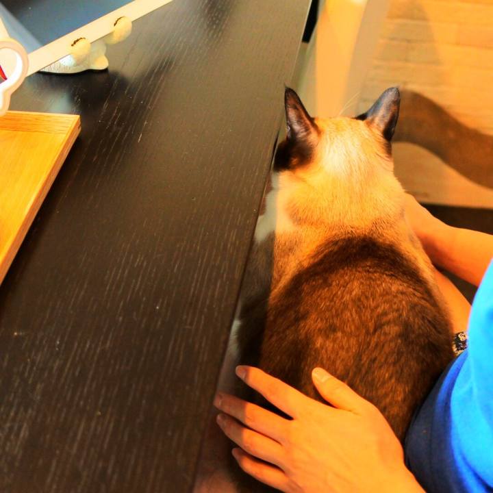 E415ce90 6c90 4a1d 81ce f5f1064c6ab4