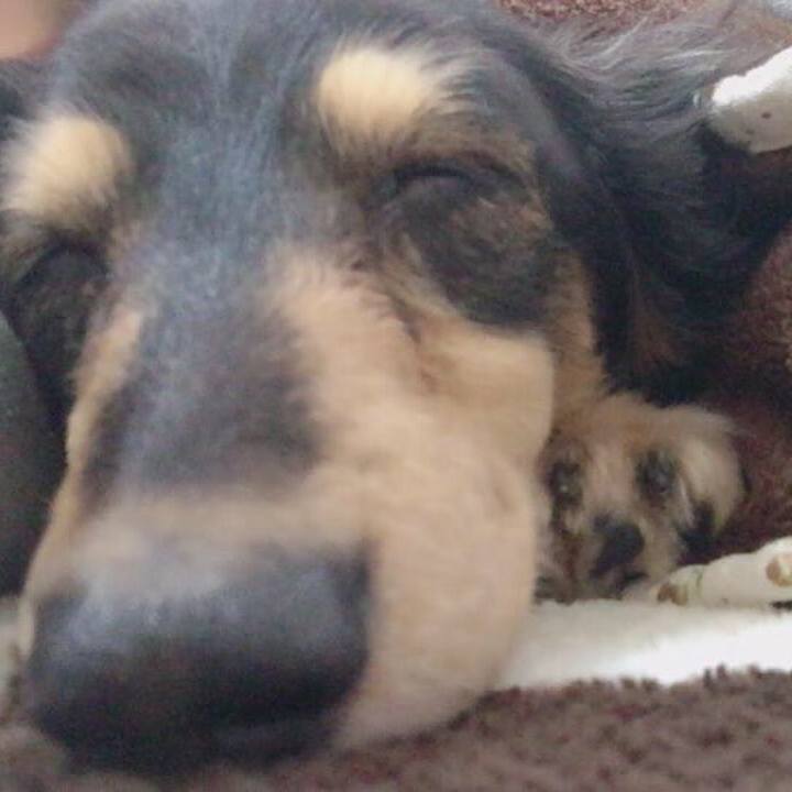 E415ed3a 46fa 40f9 b3b5 bdf1ef7e0155