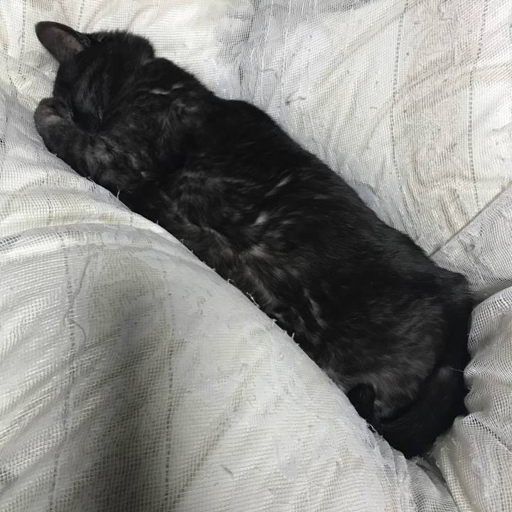 E4166250 fe79 47ab b63d ae67e8df70d2