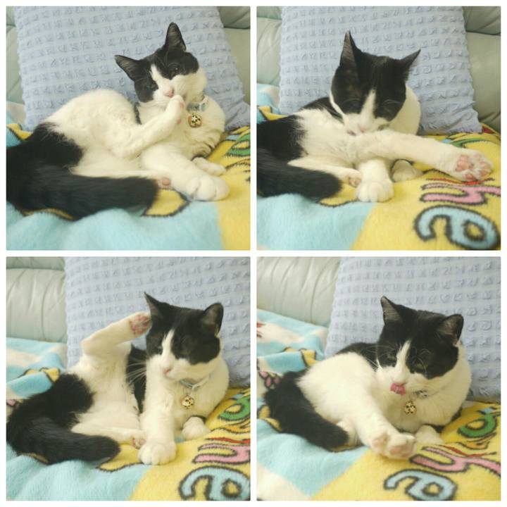 E416fae5 c0ab 4c2c 800b ae9b40ea39d1