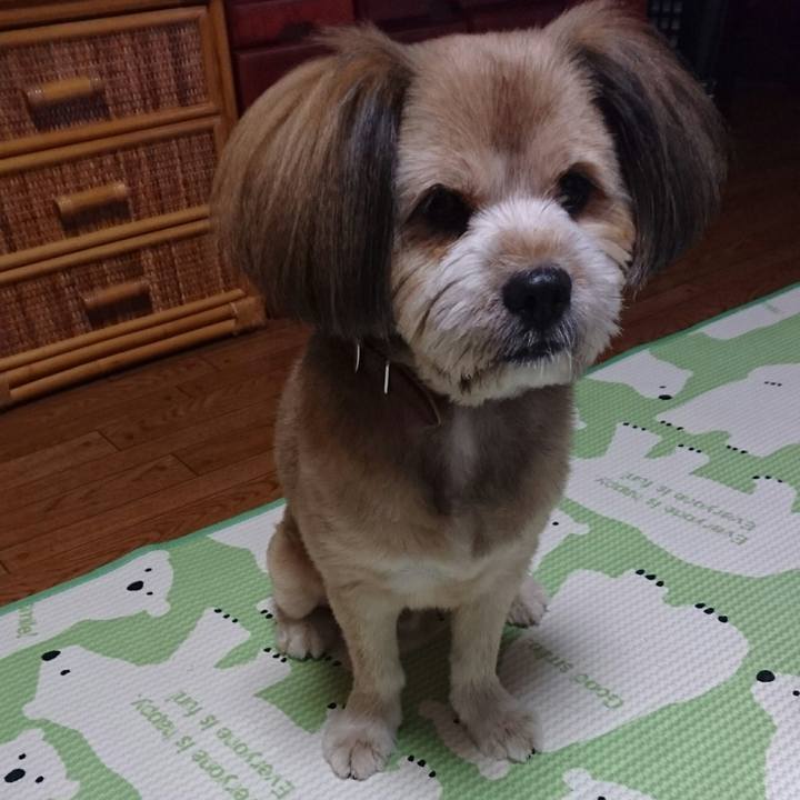 E4179eed edb8 4e66 bc3e 20063f52ccc1