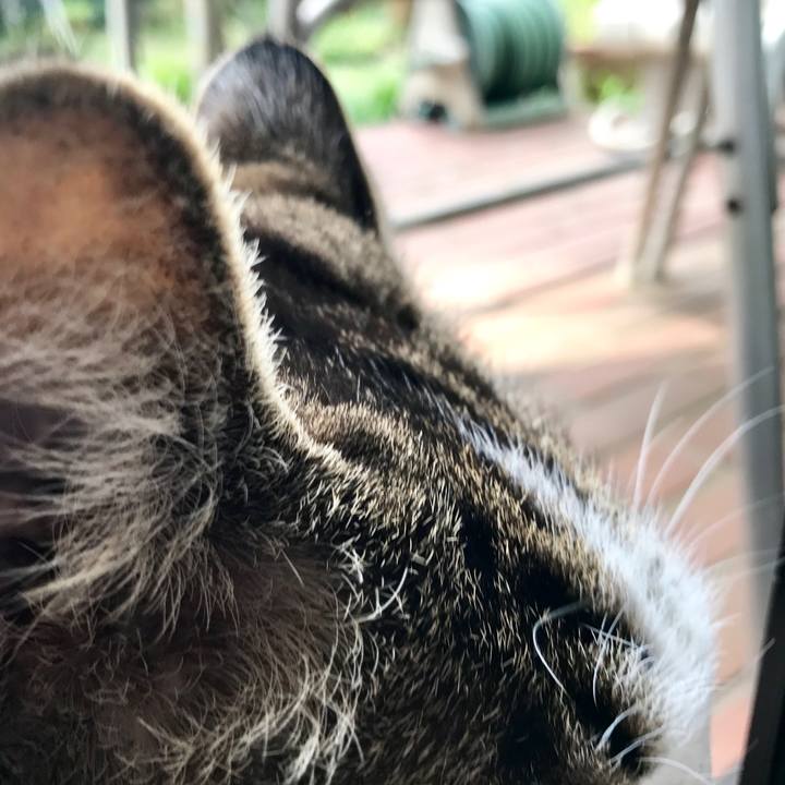 E417afc9 7c4e 4003 be24 20e253a228d9