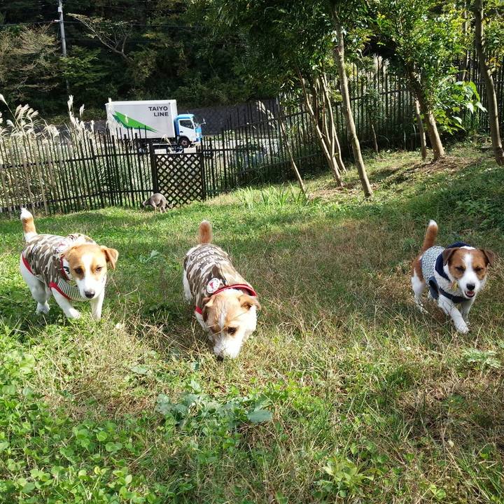 E417c261 341b 43fc 8395 a085a47559a6