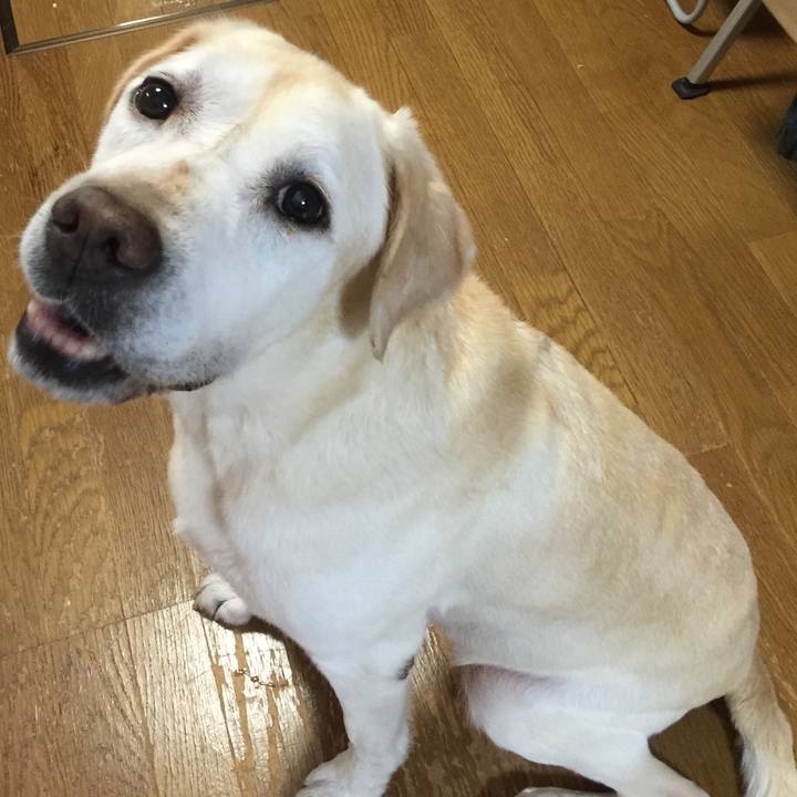 E418825d 3117 4760 a244 372272576bd8