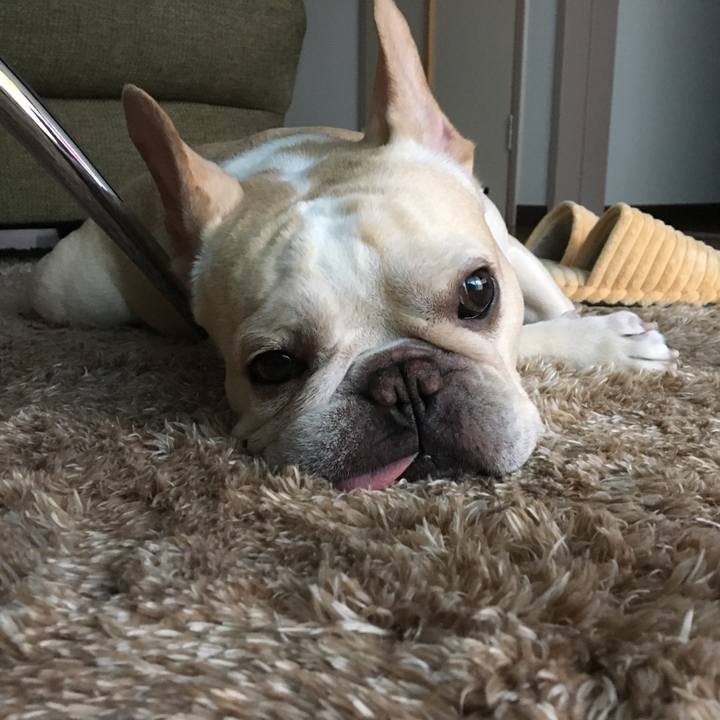 E418c1e2 257e 4de6 87ae 09d15011ca8e