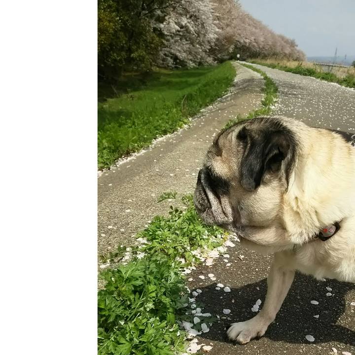 E418d73e ac8c 4352 a969 1313220cd39b