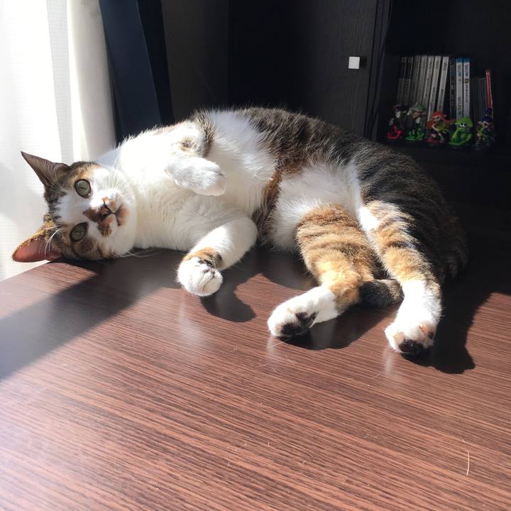 E41a61a1 f67a 415f a433 c043bf4b4ad1