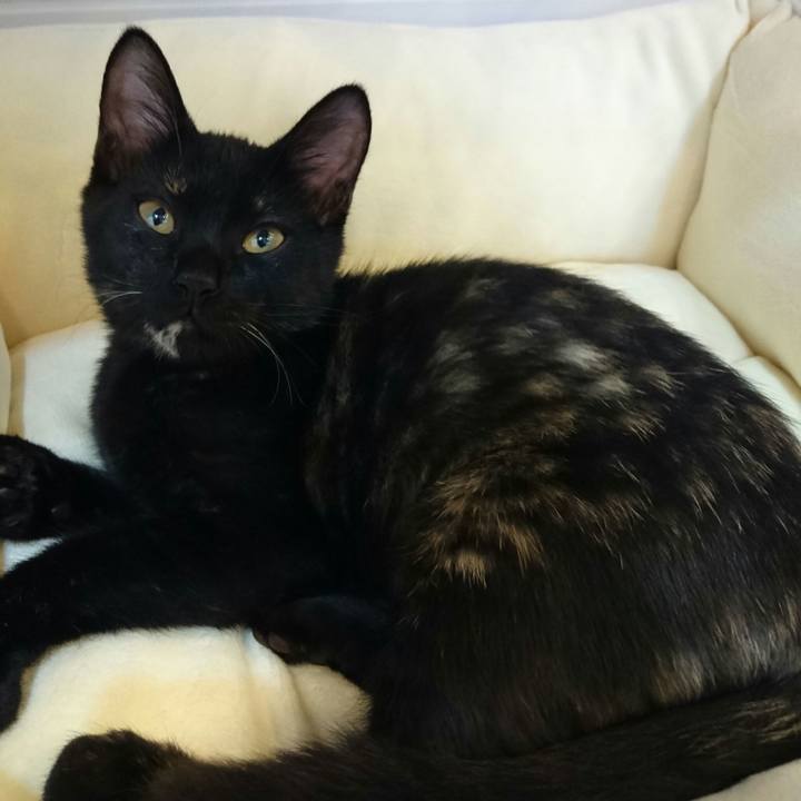 E41b2be9 0ea9 4385 a3cd 8e8269474330