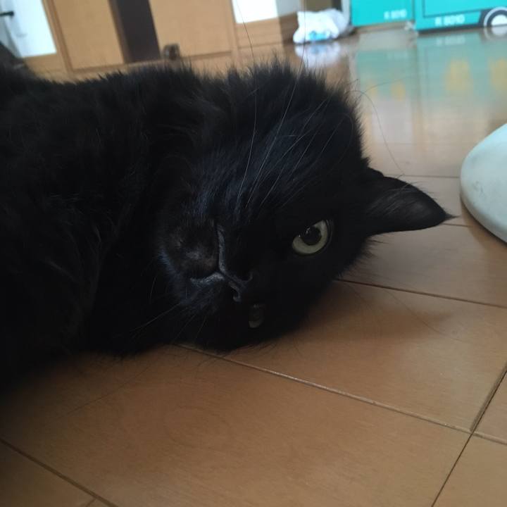 E41b30fa 8f95 4fa4 a5f8 5a982eea3375