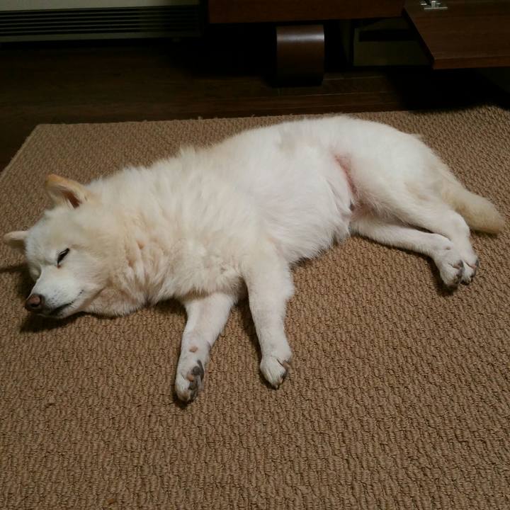 E41b59bb 345b 4f57 9766 3deba15f185d