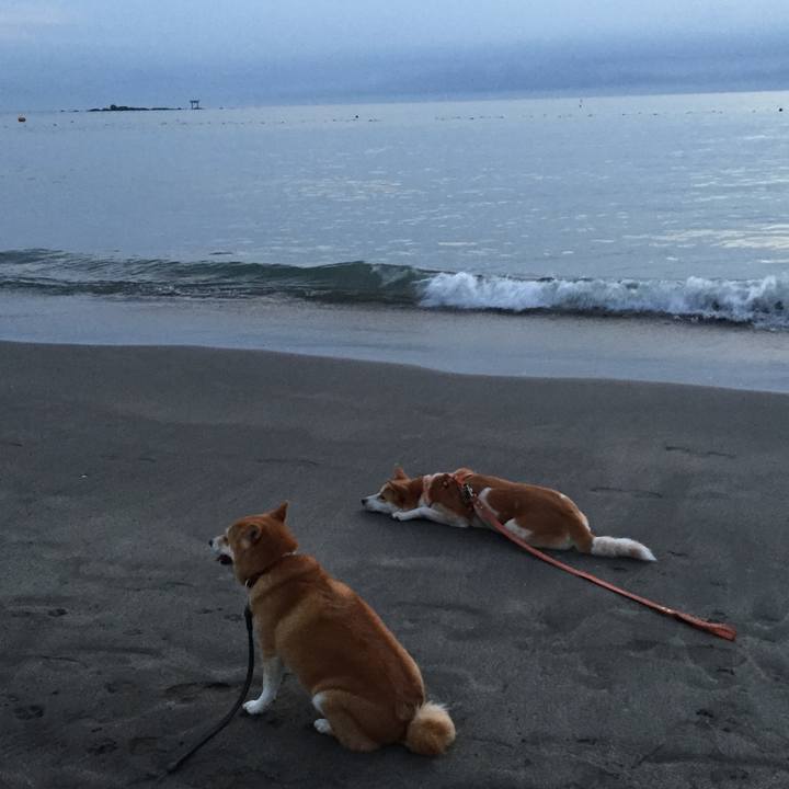 E41b5fa0 8217 45e3 9833 3f9f6b2c3bc0